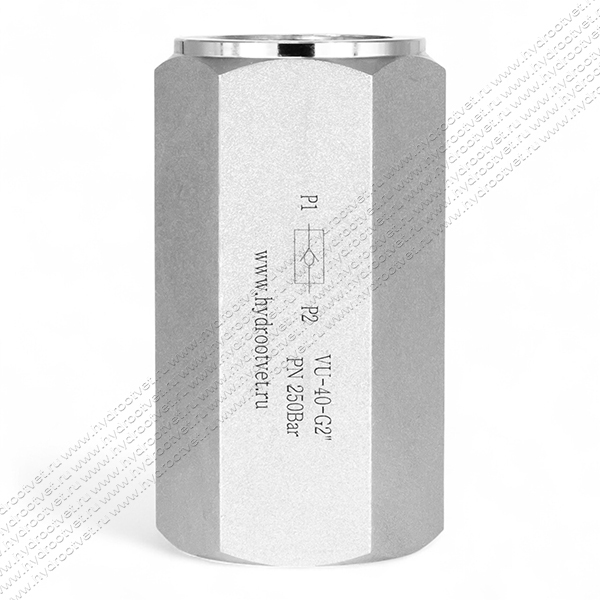 VU-40-G2 - Обратный клапан на высокое давление, резьба G2''